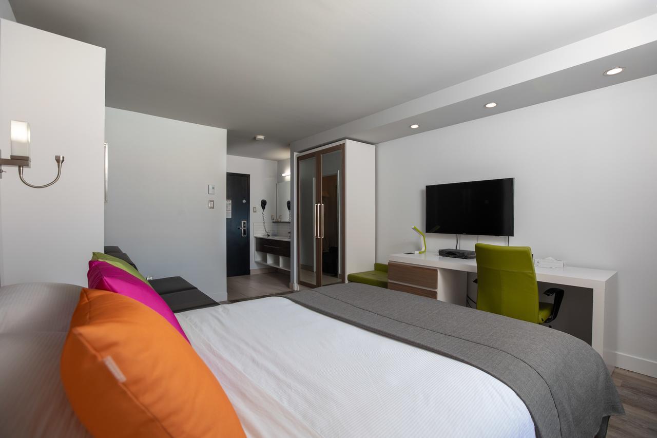 Executive Room 1 Queen bed 1 Murphy bed